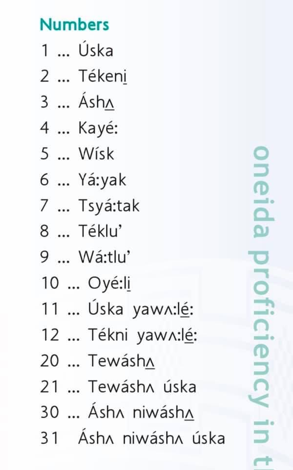 Oneida Colours & Numbers My ABBC